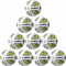 10er Ballpaket molten School MasteR Fußball F5A-SM weiß/grün/silber 5