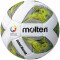 10er Ballpaket molten School MasteR Fußball F5A-SM weiß/grün/silber 5
