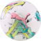 10er Ballpaket PUMA Orbita 5 Hybrid Trainingsball puma white/multi colour 3