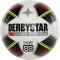 10er Ballpaket DERBYSTAR Classic S-Light 290g Leicht-Fußball 8X1 Gr. 5