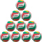 10er Ballpaket molten Volleyball Trainingsball für Stellertraining Weiß/Grün/Rot/Gelb Gr. 5
