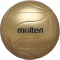 10er Ballpaket molten Volleyball Fanball Unterschriftenball Gold Gr. 5