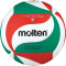 10er Ballpaket molten Volleyball V5M4000-DE weiß/grün/rot 5