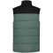 ICEPEAK Adonat Daunenweste Herren