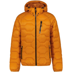 ICEPEAK Branch Daunenjacke Herren 490 - rust 54