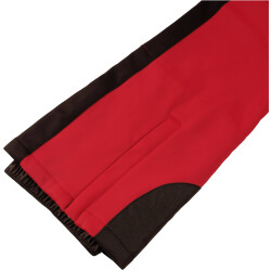 ICEPEAK Ellsworth Softshellhose Damen 685 - burgundy 36