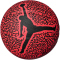 NIKE Jordan Skills 2.0 Graphic Basketball Kinder