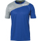Kempa Core 2.0 Trikot royal/dark grau melange S