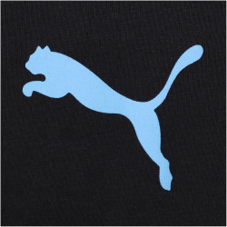 PUMA Manchester City FC FA Cup Winners T-Shirt Jungen