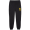 PUMA BVB Borussia Dortmund ftblICONS Jogginghose Herren
