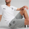 PUMA BVB Borussia Dortmund Essentials Trainingsshorts Herren