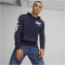 PUMA Manchester City FC Ftblicons Hoodie Herren