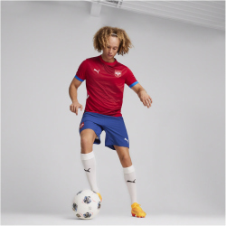 PUMA FSS Serbien Heimtrikot EM 2024 Herren