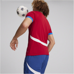PUMA FSS Serbien Heimtrikot EM 2024 Herren