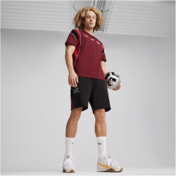 PUMA SFV Schweiz FtblArchive Sweatshorts Herren