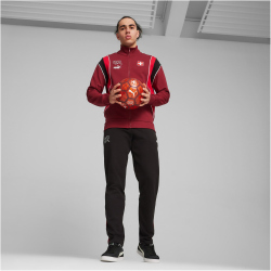 PUMA SFV Schweiz FtblArchive Sweatjacke Herren