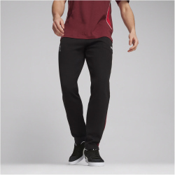 PUMA SFV Schweiz FtblArchive Jogginghose Herren
