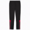 PUMA SFV Schweiz FtblArchive Jogginghose Herren