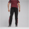 PUMA SFV Schweiz FtblArchive Jogginghose Herren