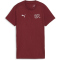 PUMA SFV Schweiz Trainingsshirt Damen
