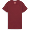 PUMA SFV Schweiz Trainingsshirt Damen