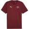 PUMA SFV Schweiz Trainingsshirt Herren