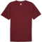 PUMA SFV Schweiz Trainingsshirt Herren