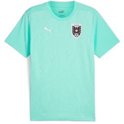 PUMA ÖFB Österreich Trainingsshirt Herren
