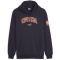PUMA FSS Serbien Ftblicons Hoodie Herren