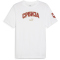 PUMA FSS Serbien Ftblicons T-Shirt Herren