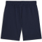 PUMA FSS Serbien Trainingsshorts Herren