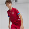PUMA FSS Serbien Heimtrikot EM 2024 Kinder