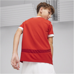 PUMA &Ouml;FB &Ouml;sterreich Heimtrikot EM 2024 Kinder