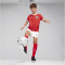 PUMA ÖFB Österreich Heimtrikot EM 2024 Kinder
