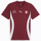 PUMA SFV Schweiz kurzarm Aufwärmtrikot 2024/25 Herren