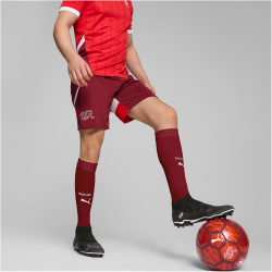 PUMA SFV Schweiz Shorts 2024 Herren
