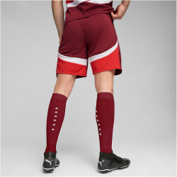 PUMA SFV Schweiz Shorts 2024 Herren
