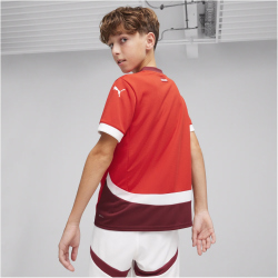 PUMA SFV Schweiz Heimtrikot EM 2024 Kinder