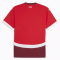 PUMA SFV Schweiz Heimtrikot EM 2024 Herren