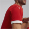 PUMA SFV Schweiz Heimtrikot EM 2024 Herren