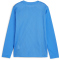 PUMA teamGOAL langarm Trikot Kinder