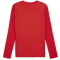 PUMA teamGOAL langarm Trikot Herren