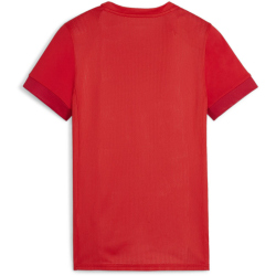 PUMA teamGOAL Matchday Trikot Damen