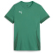 PUMA teamGOAL Matchday Trikot Damen