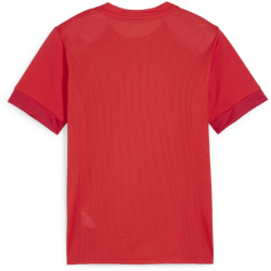 PUMA teamGOAL Matchday Trikot Kinder