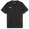 PUMA teamGOAL Matchday Trikot Kinder