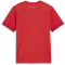 PUMA teamGOAL Matchday Trikot Kinder