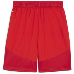 PUMA teamFINAL Shorts Herren