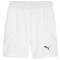PUMA teamFINAL Shorts Herren