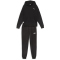 PUMA Loungewear Jogginganzug Damen